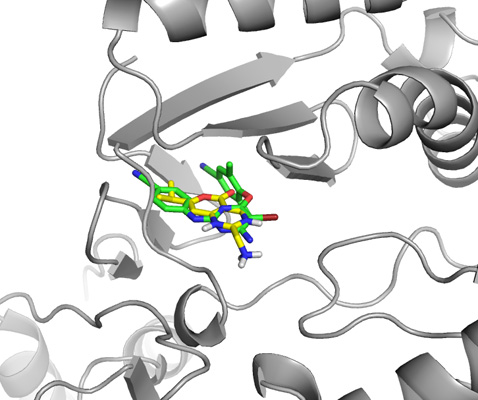 HIV reverse transcriptase complex and docked ligand